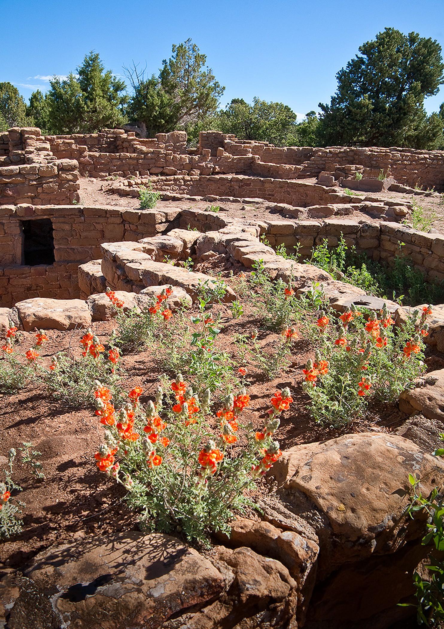 Far View Lodge Mesa Verde nationalpark Exteriör bild